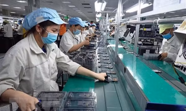 Những đề xuất cho các doanh nghiệp vực dậy sau đại dịch