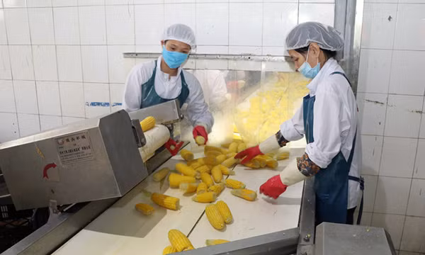 Linh hoạt kết nối cung, cầu nông sản