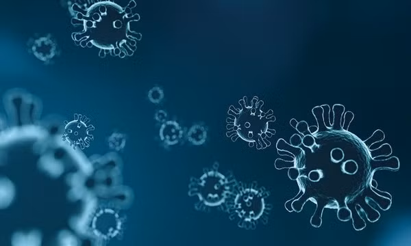 Tổ tiên loài người nhiễm virus corona cách đây 21.000 năm