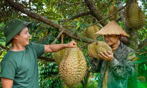 Sầu riêng nấu canh sườn non và chiên bột