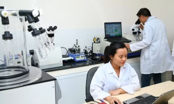 Bộ GD&ĐT công bố danh sách cơ sở, chương trình đào tạo đạt chuẩn chất lượng
