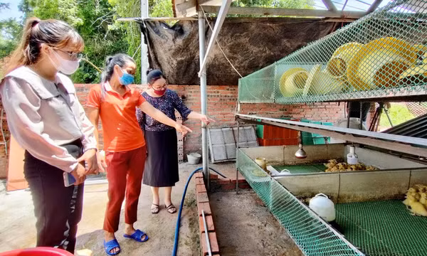 Ngăn chặn bạo lực trên cơ sở giới