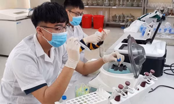 Ươm mầm các nhà khoa học tương lai