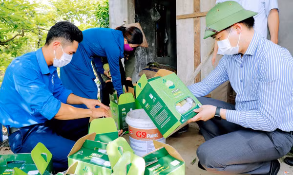 Gần 90% sản lượng na dai Đông Triều đã được tiêu thụ