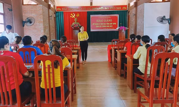Nhân rộng mô hình quản lý dịch hại tổng hợp trên cây trồng