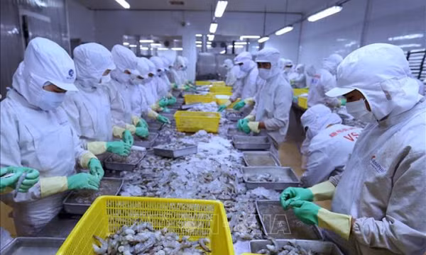 Nhu cầu thủy sản của EU hồi phục, cơ hội cho Việt Nam đẩy mạnh xuất khẩu