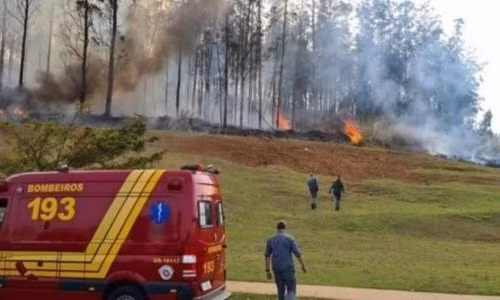Brazil: Máy bay lao xuống rừng và phát nổ, 7 người thiệt mạng