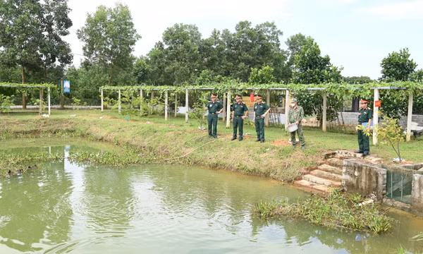Ban CHQS huyện Hải Hà - Đơn vị tiêu biểu trong phong trào thi đua quyết thắng