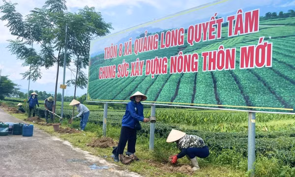 Nông dân sôi nổi thi đua