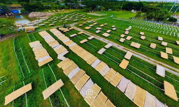 Ghé thăm làng nghề bún, miến ở ngoại thành Hà Nội