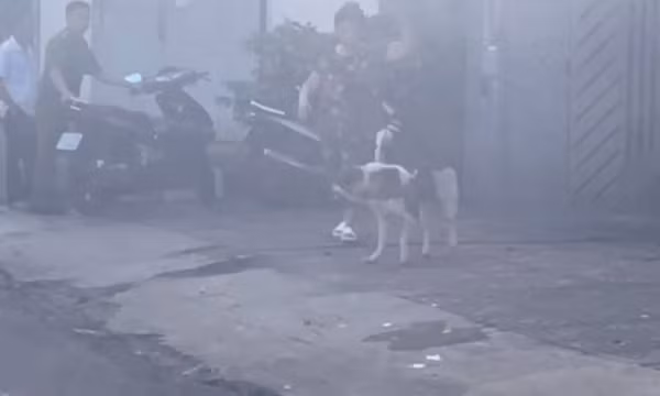 Người phụ nữ nhặt ve chai bị chó lớn tấn công, kéo lê trên đường