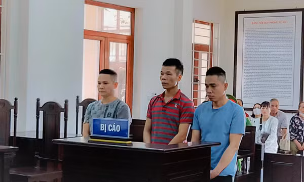 282 tháng tù giam cho những kẻ “Tổ chức sử dụng trái phép ma túy”