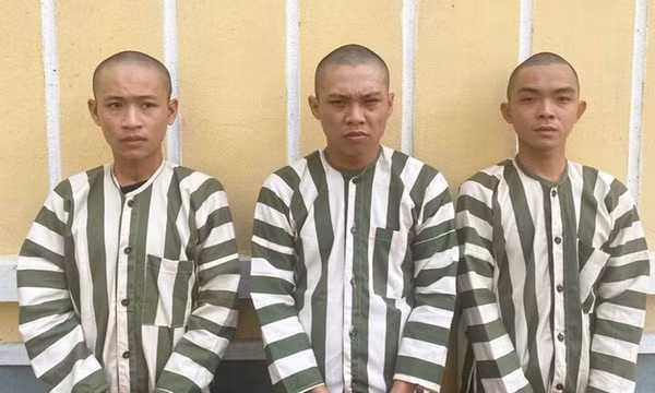 Bắt giữ ba thanh niên giam lỏng bé gái 12 tuổi