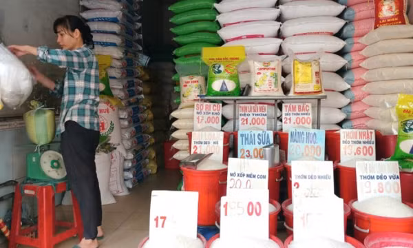 Giá gạo Việt lội ngược dòng thế giới