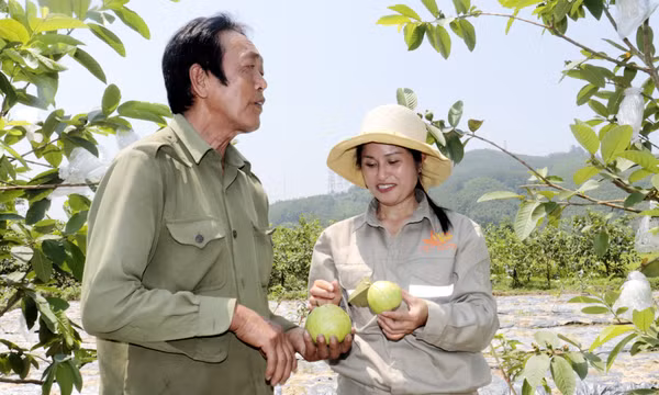 Chắp cánh cho sản phẩm OCOP
