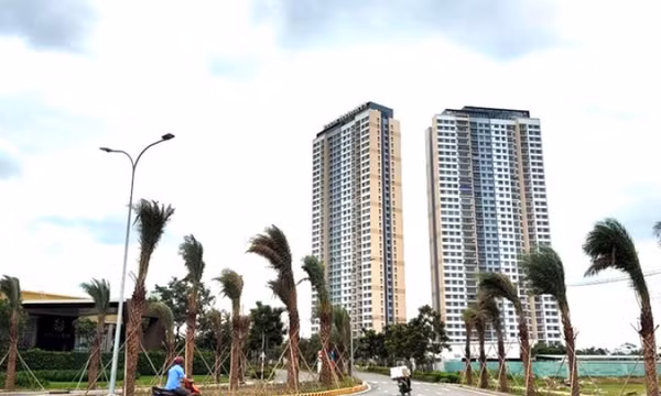 Cháu bé 6 tuổi ở TPHCM tử vong nghi ngộ độc sau khi ăn bánh su kem