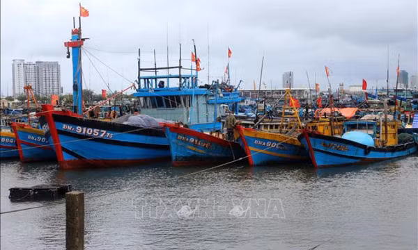 Từ Quảng Ninh đến Kiên Giang chủ động ứng phó với gió mạnh trên biển