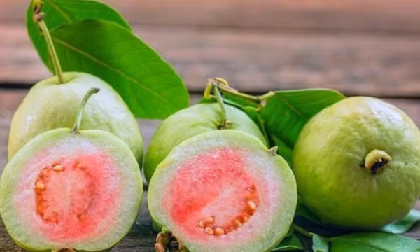 Tác dụng từ ổi để kiểm soát đường trong máu