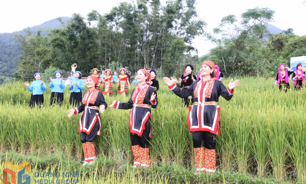 Rộn ràng Bình Liêu mùa “lúa hát”