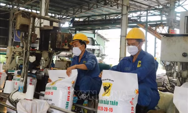 Giá phân bón trong nước giảm nhẹ nhờ nguồn cung ổn định
