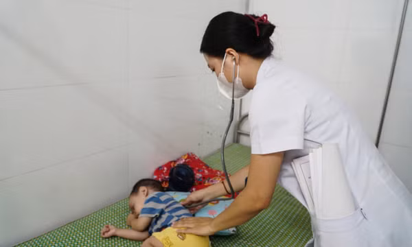Người nhiễm giun đũa chó mèo ngày càng nhiều, có thể tổn thương gan, mắt, não, phổi