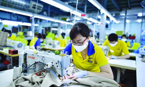 Hoạt động của nhiều doanh nghiệp: Ấm dần theo đơn hàng