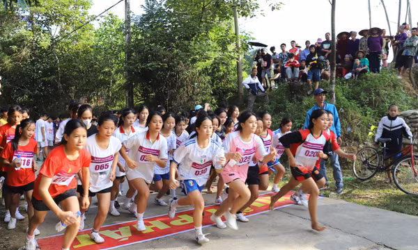 Gần 600 VĐV tham gia giải chạy “Cung đường mùa vàng” năm 2023
