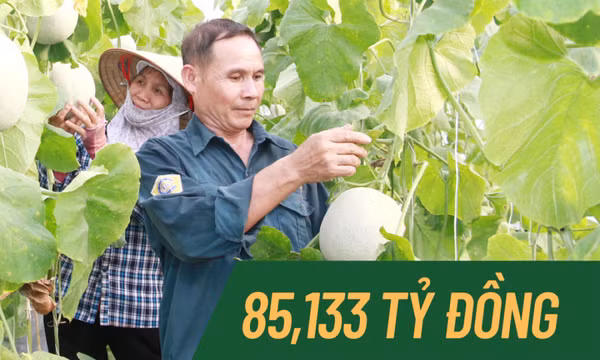 85,133 tỷ đồng - là tổng nguồn vốn Quỹ hỗ trợ nông dân toàn tỉnh tính đến nay