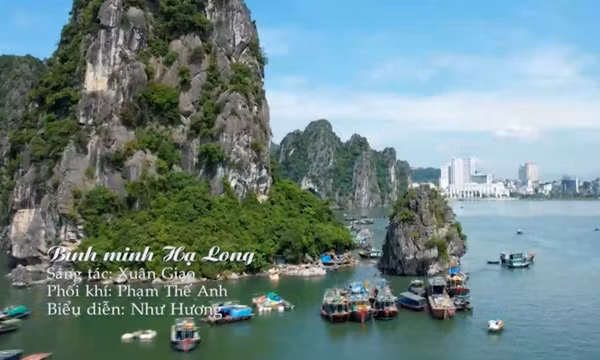 MV "Bình minh Hạ Long"