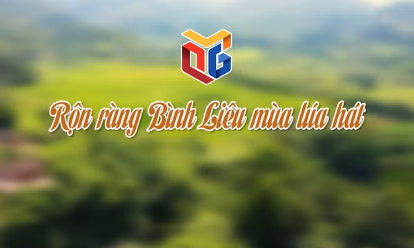 Rộn ràng Bình Liêu mùa lúa hát