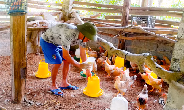 Đẩy mạnh phát triển KT-XH vùng đồng bào DTTS