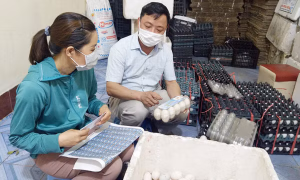 Tạo sức bật cho nông sản từ liên kết sản xuất