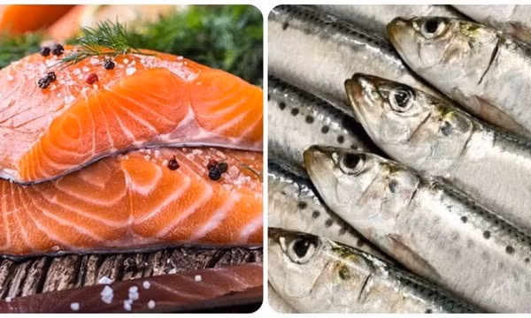 3 loại cá giàu canxi hơn cả sữa bạn nên biết