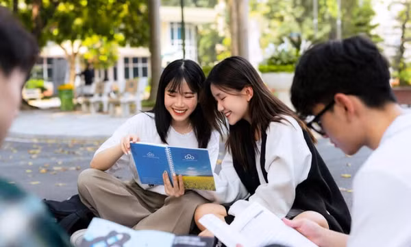 3 công việc dành cho người nhạy cảm