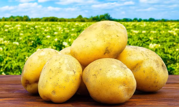 8 cách làm sạch ly thủy tinh bị ố