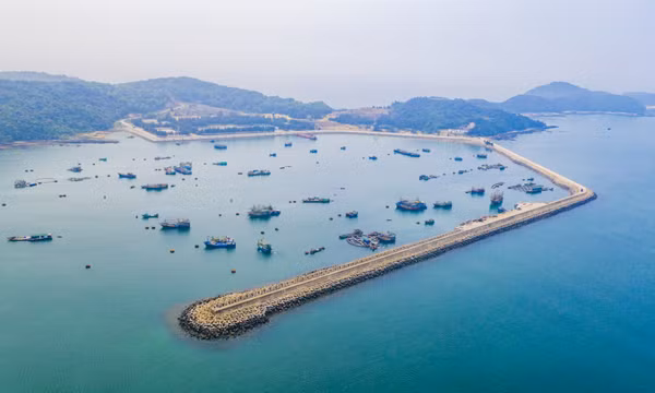 Đẩy nhanh tiến độ công bố Khu dịch vụ hậu cần nghề cá Bắc vịnh Bắc Bộ là cảng lưỡng dụng