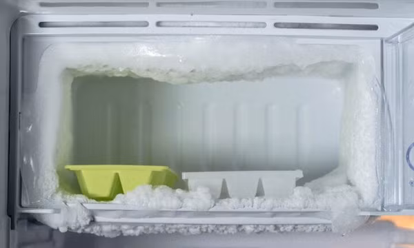 Bỏ thứ này vào tủ lạnh, không sợ tủ đóng tuyết