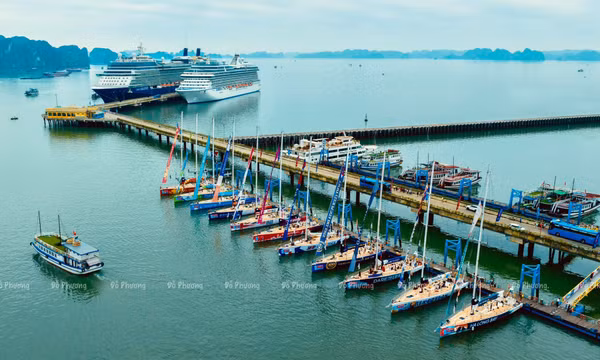 Hôm nay, 2/3 sẽ diễn ra Lễ khởi động cuộc đua thuyền buồm Clipper Race mùa giải 2023-2024