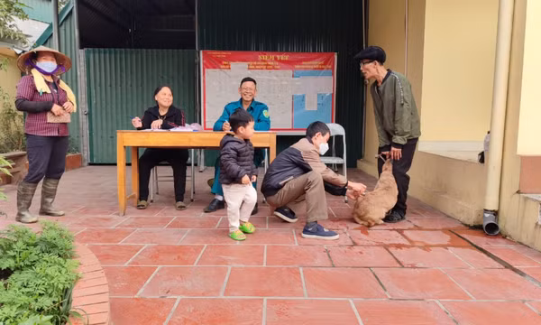 TX Quảng Yên: Chủ động tiêm phòng bệnh dại cho chó, mèo nuôi trước khi sang hè