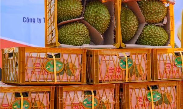 Nông sản Việt tham gia sâu hơn vào chuỗi cung ứng nông sản toàn cầu