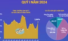 Toàn cảnh tình hình kinh tế Việt Nam quý 1 năm 2024