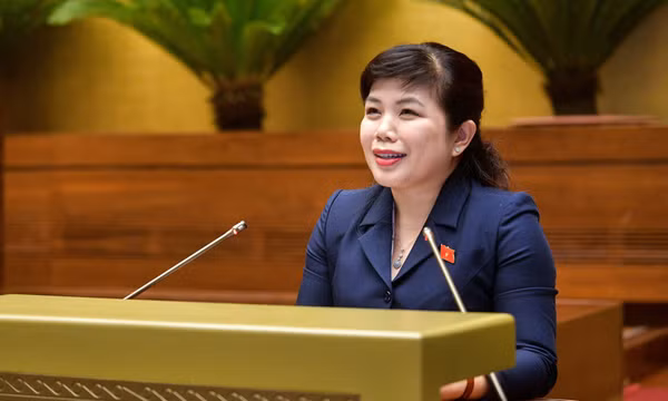 ĐBQH Nguyễn Thị Thu Hà: Khẳng định vai trò, vị trí, vị thế của Đoàn ĐBQH ở địa phương