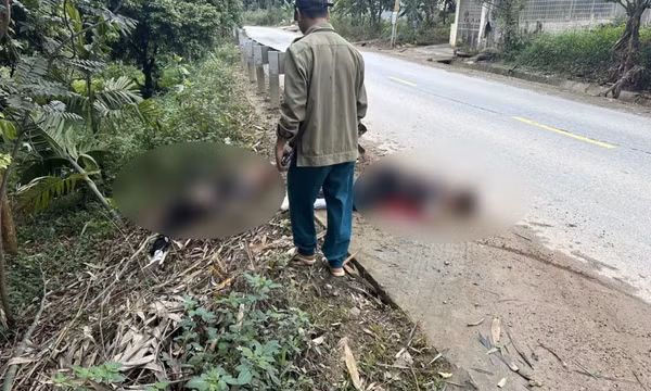 Tự đâm vào hộ lan, một người chết, một người bị thương