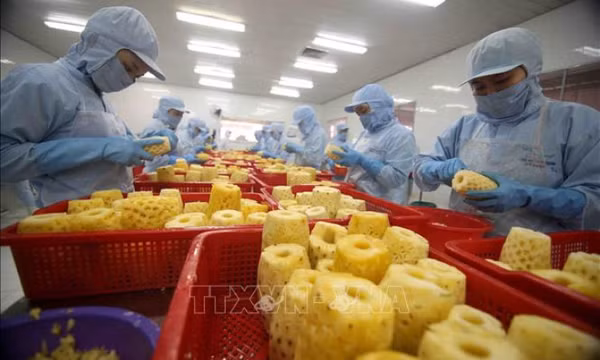Quý I, xuất siêu nông lâm thủy sản tăng gần gấp 2 lần