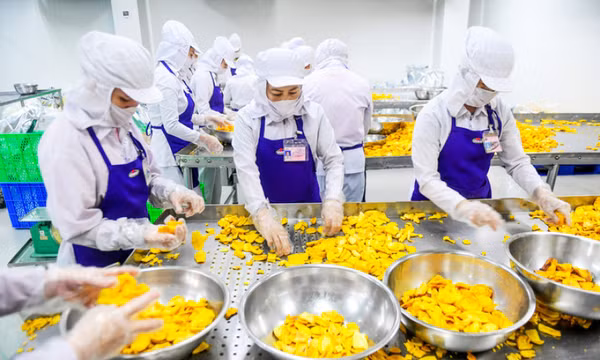 Kinh tế có thêm nhiều gam màu sáng