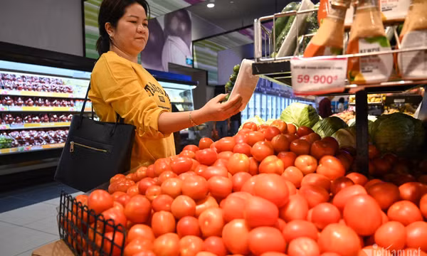 Cần giảm thuế thu nhập cá nhân, xóa giảm trừ 'cào bằng'
