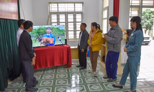 Vùng chăn nuôi gà an toàn dịch bệnh đầu tiên của tỉnh