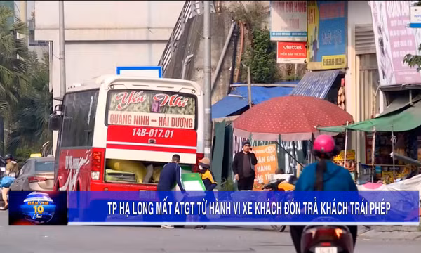 TP Hạ Long mất ATGT từ hành vi xe khách đón trả khách trái phép