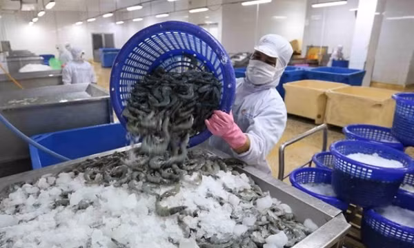 2 tháng đầu năm: Tôm Việt "chiếm lĩnh" thị trường Trung Quốc và Mỹ