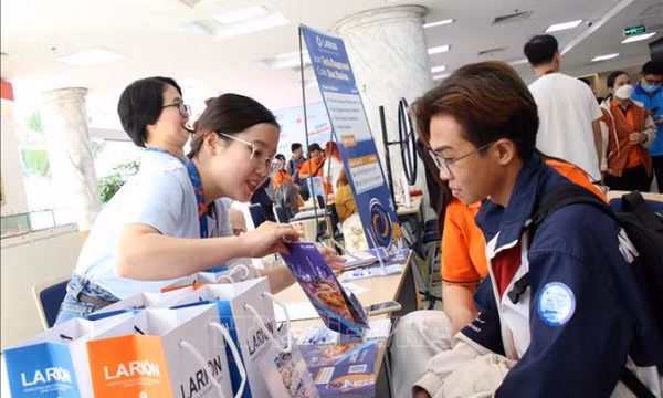 Chỉ 35% sinh viên ngành Công nghệ thông tin tốt nghiệp đáp ứng ngay công việc